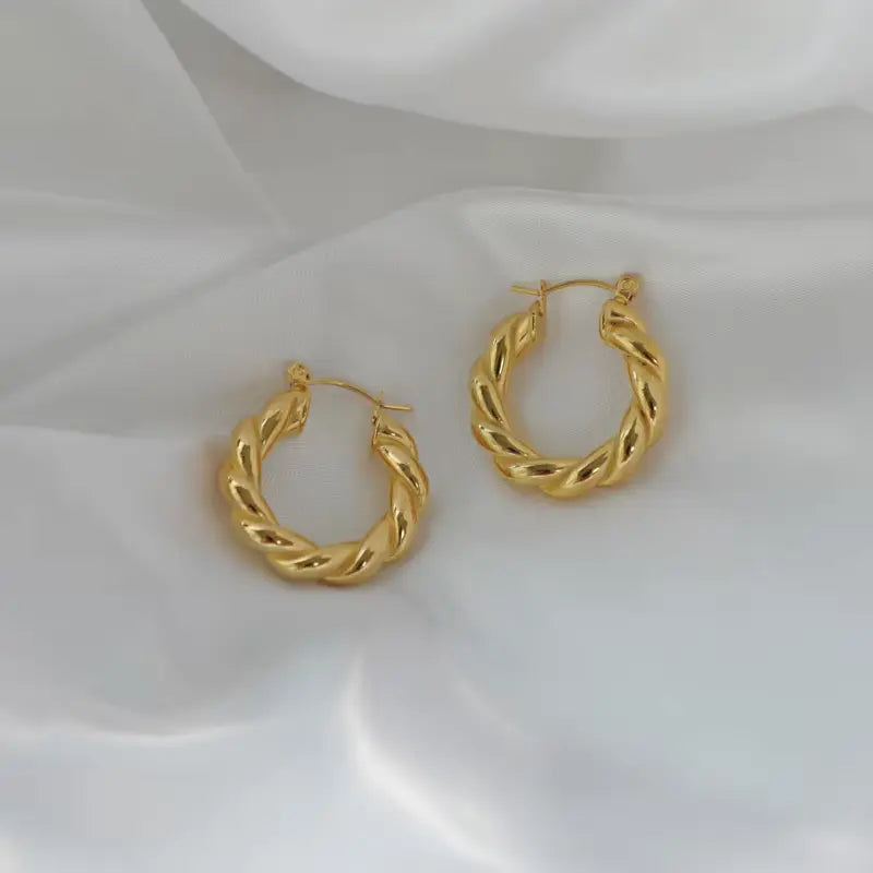 Twisted Hoop Earrings