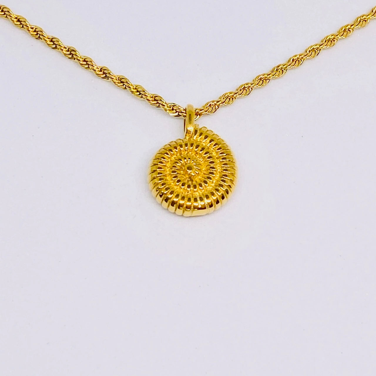 Sea Shell Pendant Necklace