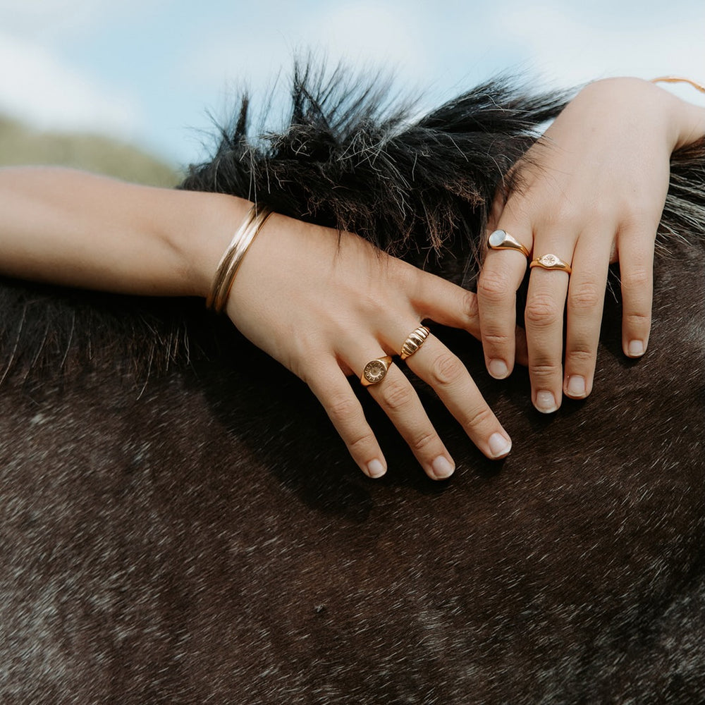 Close-up of hands with gold jewelry on a horse's back