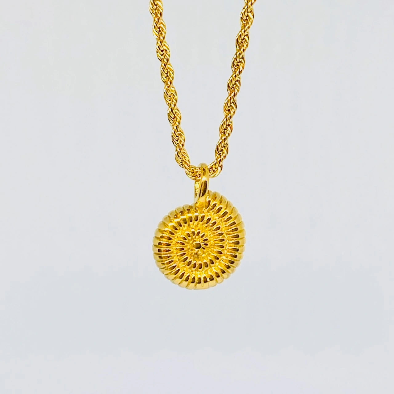Sea Shell Pendant Necklace